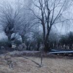 Belleza, frío y cortes preventivos en algunos tramos de la ruta 307