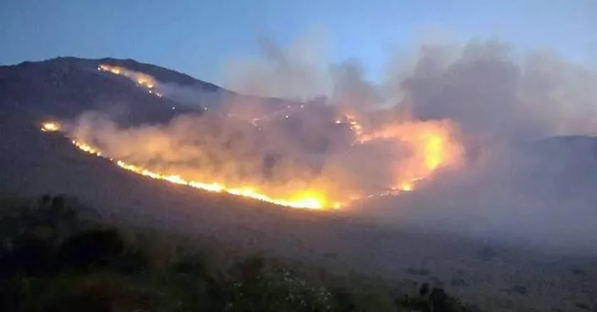 Cerro Muñoz: brigadistas pasan la noche en la zona para retomar el combate al fuego al amanecer