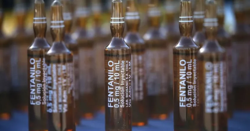 Primeros peritajes del Cuerpo Médico Forense: conclusiones sobre el fentanilo contaminado
