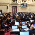Nueva paliza al Gobierno de Milei: el Senado rechazó los vetos al financiamiento al Garrahan y Universidades