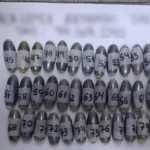 Capsuleros en Tucumán: captura de dos hombres con más de 2 kg de droga ingerida