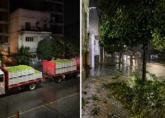 Denuncian una “cosecha salvaje” de naranjas en el centro y alertan por los daños al arbolado urbano