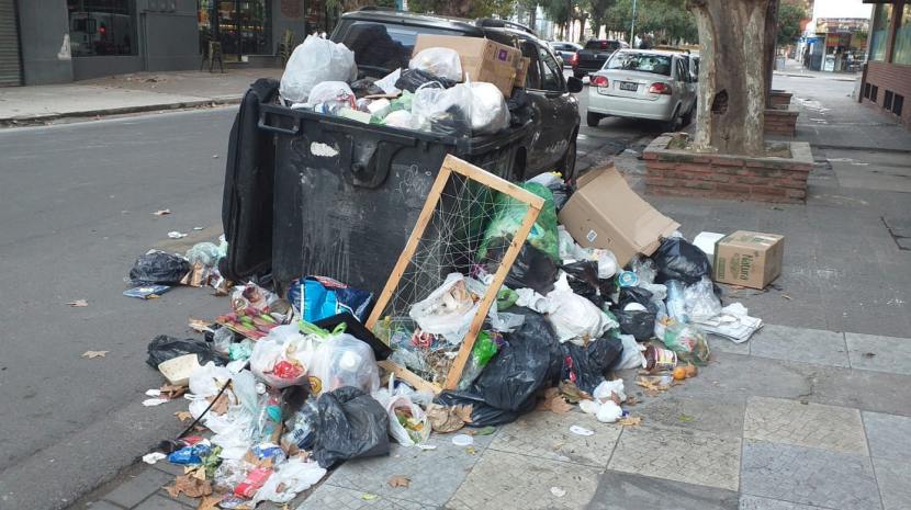 Acumulación de residuos en Barrio Norte: así afecta la vida de los vecinos