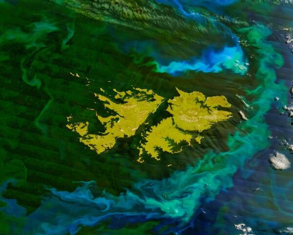 Respuesta de Argentina por el tema Malvinas