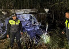 Vuelco e incendio: sobreviven tras chocar un caballo con su camioneta al sur de Tucumán