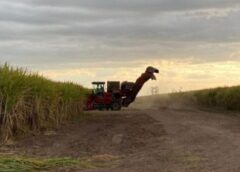 Avanza la zafra: ya se molieron más de 13 millones de toneladas de caña en Tucumán